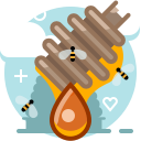 Bee,Drop,Health,Hive,Honey,Honey dipper